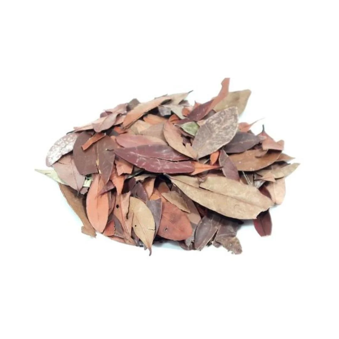 Chá de Insulina (Granel - Preço 50 Gr)