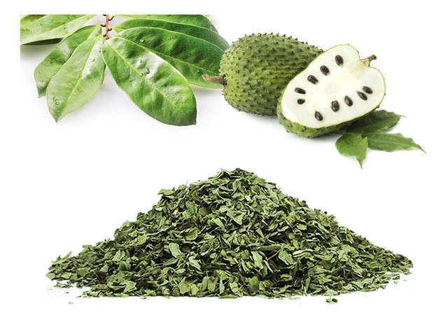 Graviola Folha (Granel - Preço 50 Gr)