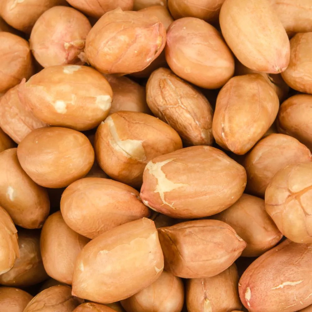 Amendoim Runner - 100Gr